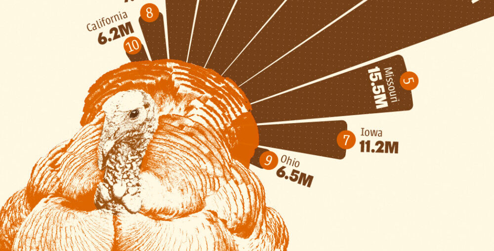 U.S. States Producing the Most Turkeys in 2024