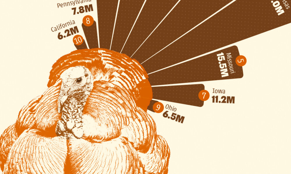 U.S. States Producing the Most Turkeys in 2024