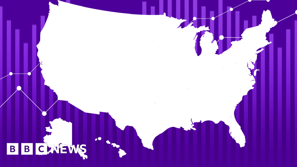 US election 2024 results: When will we know who won?