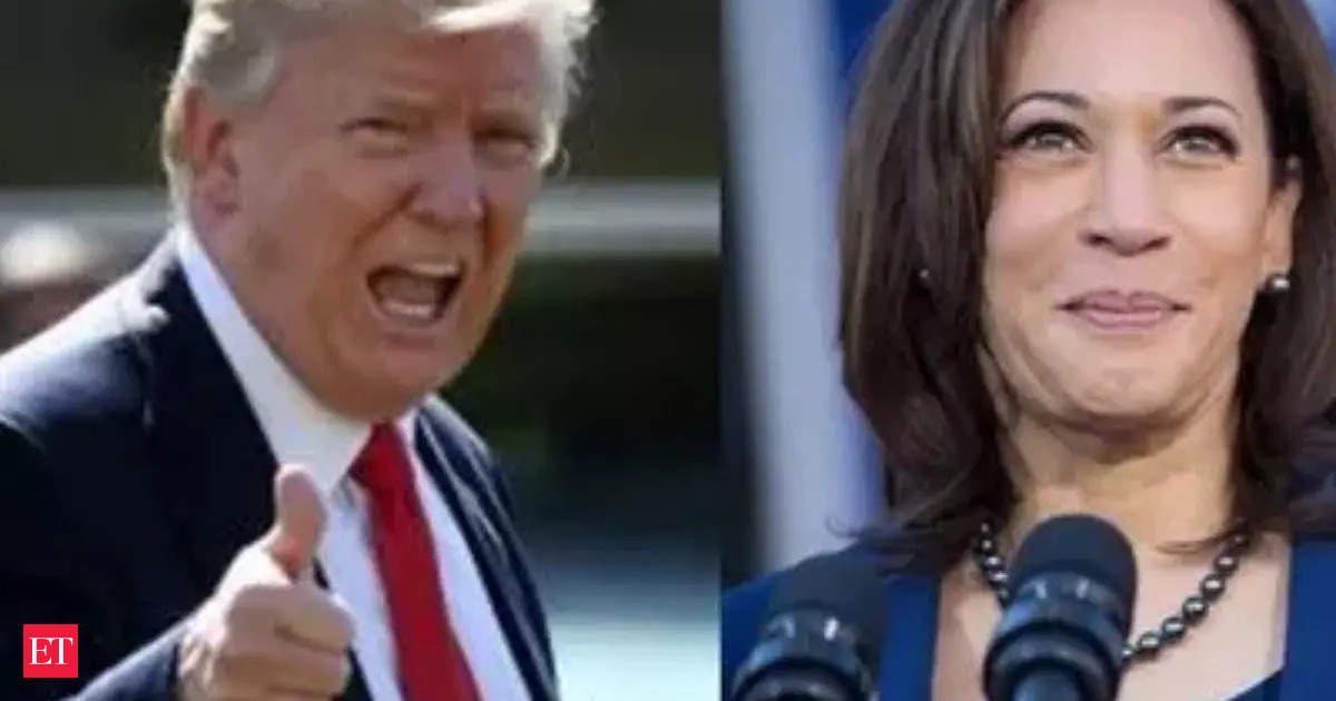 US election: Trump, Harris on the trail but transition teams are hard at work