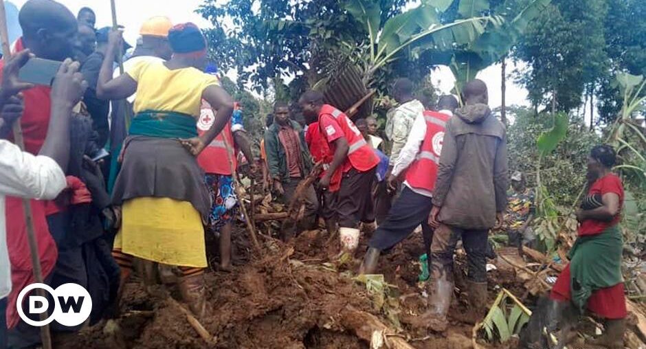 Uganda landslide kills several, destroys dozens of homes – DW – 11/28/2024