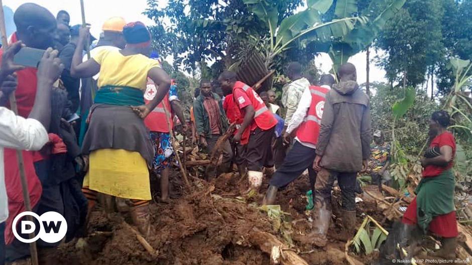 Uganda landslide kills several, destroys dozens of homes – DW – 11/28/2024