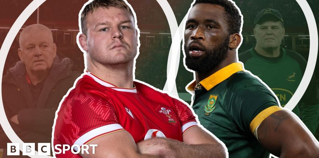 Wales v South Africa: Springboks aim to pile misery on Warren Gatland