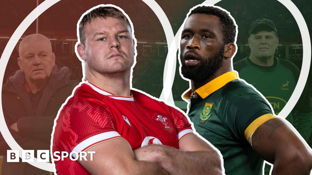 Wales v South Africa: Springboks aim to pile misery on Warren Gatland