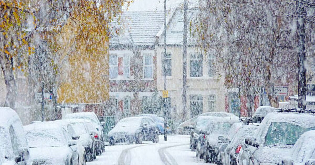 Warning 20cm could fall in hours as Britain hit by Arctic blast