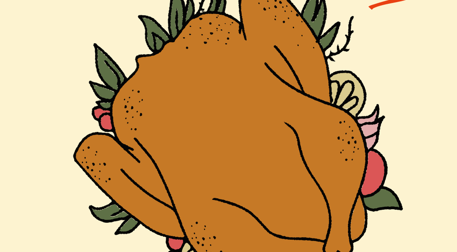 We Answered All of Your Turkey Questions—No, Really