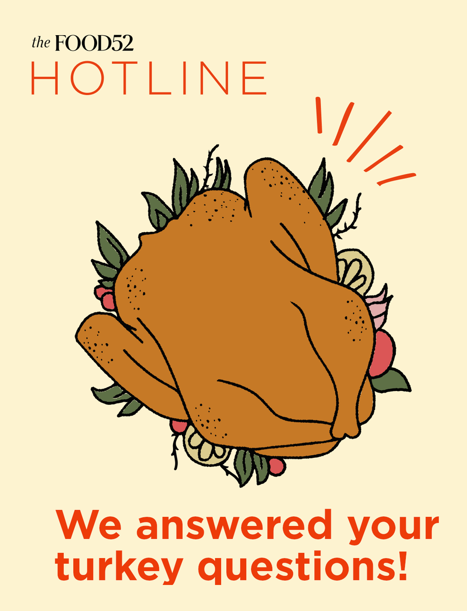 We Answered All of Your Turkey Questions—No, Really