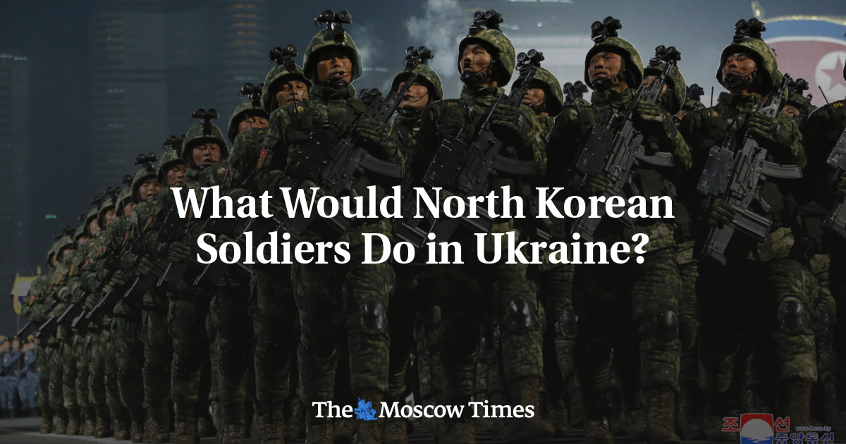 What Would North Korean Soldiers Do in Ukraine? – The Moscow Times