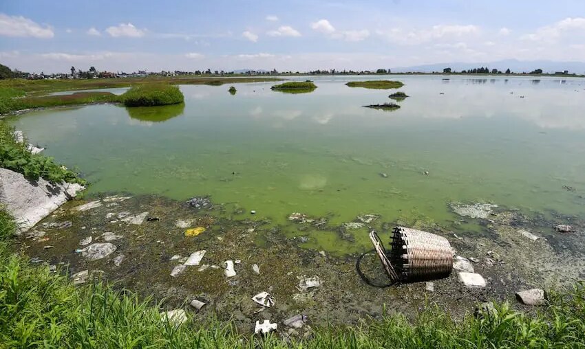 Contaminated water at the Bordo San Jerónimo, Mexico