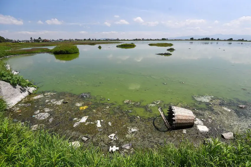 What’s polluting Mexico’s groundwater?