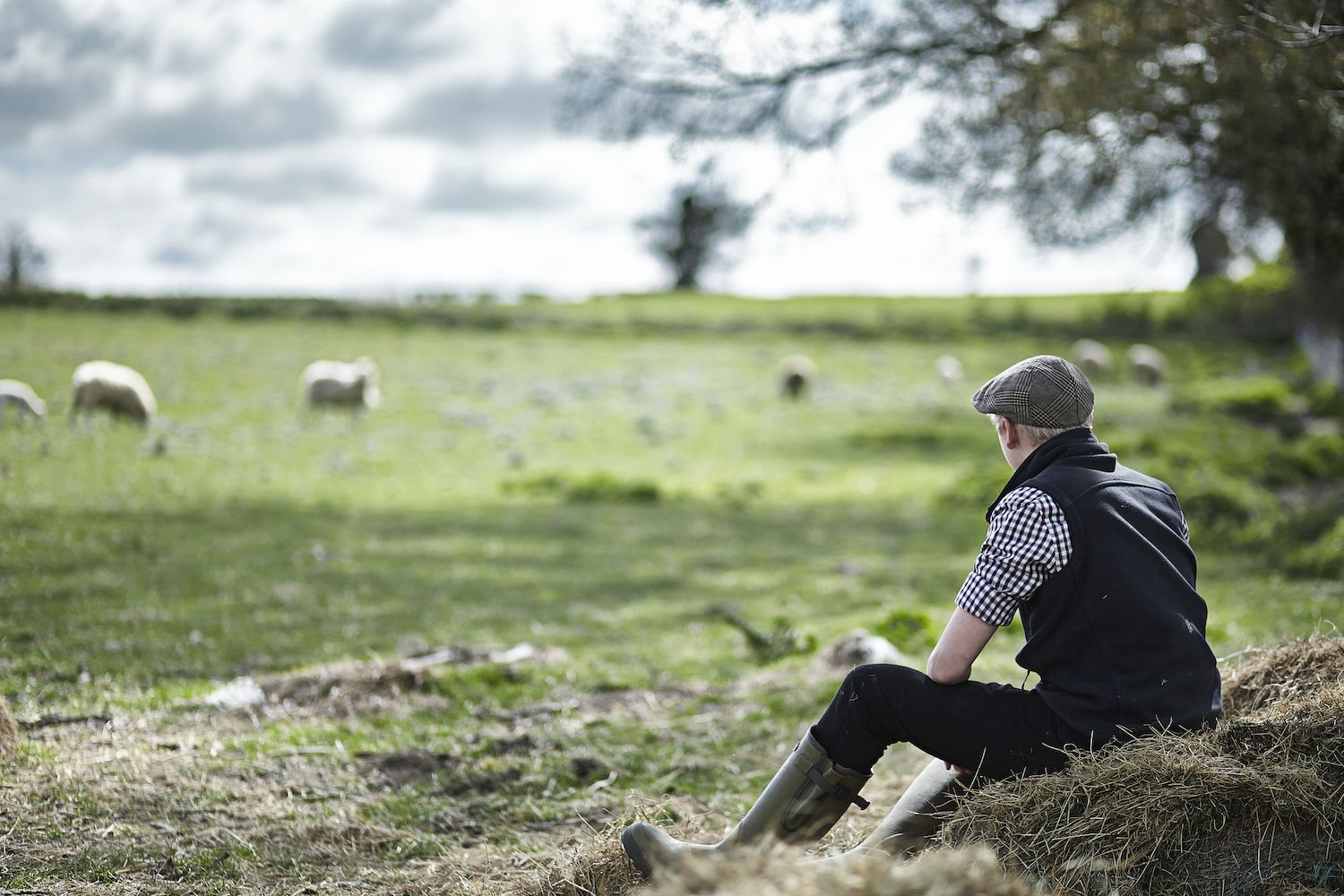 Where are the best counties in Ireland to start a farm?