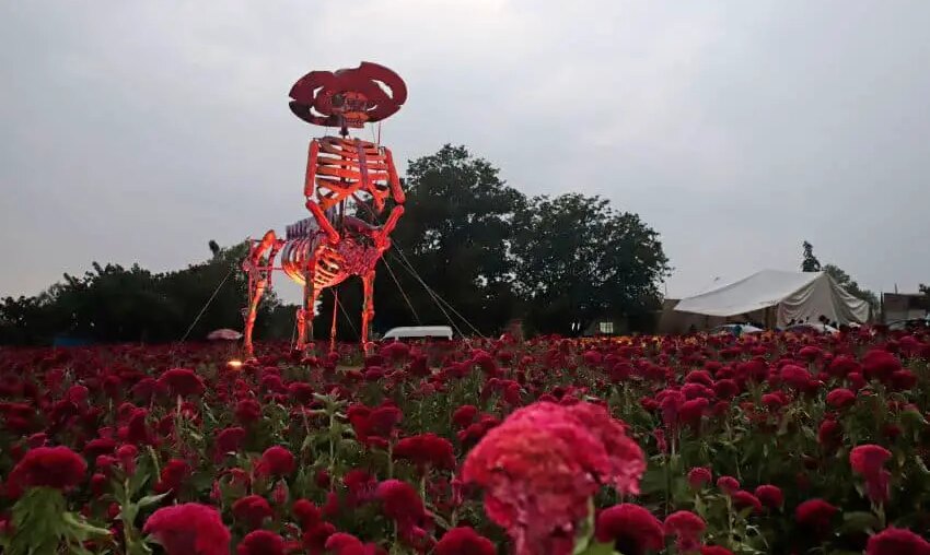 Day of the Dead Atlixco