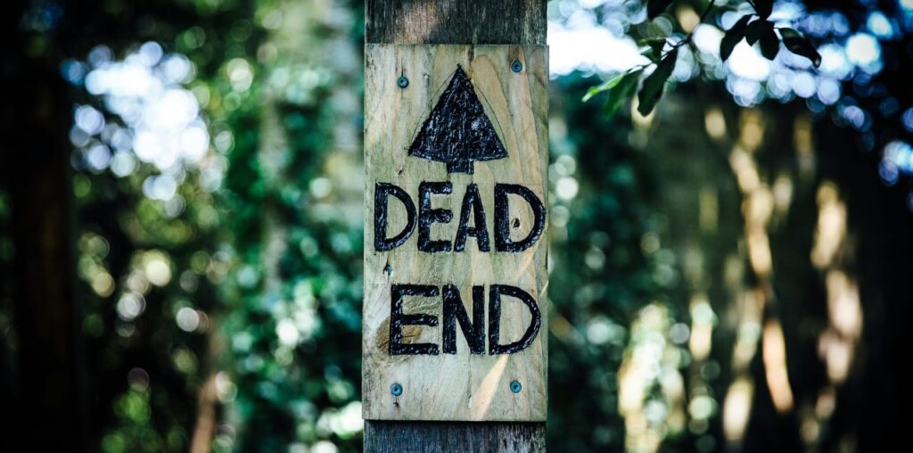 Why LLMs Within Software Development May Be a Dead End