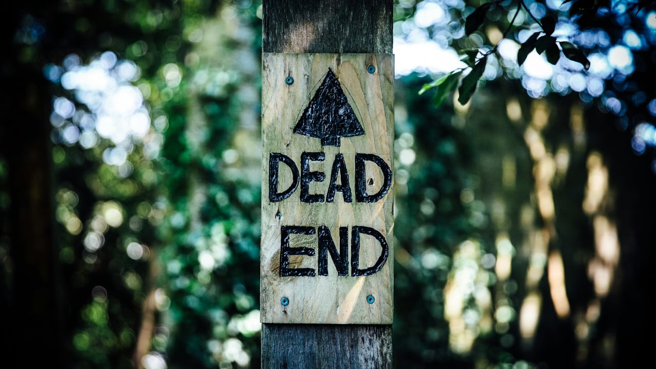 Why LLMs Within Software Development May Be a Dead End