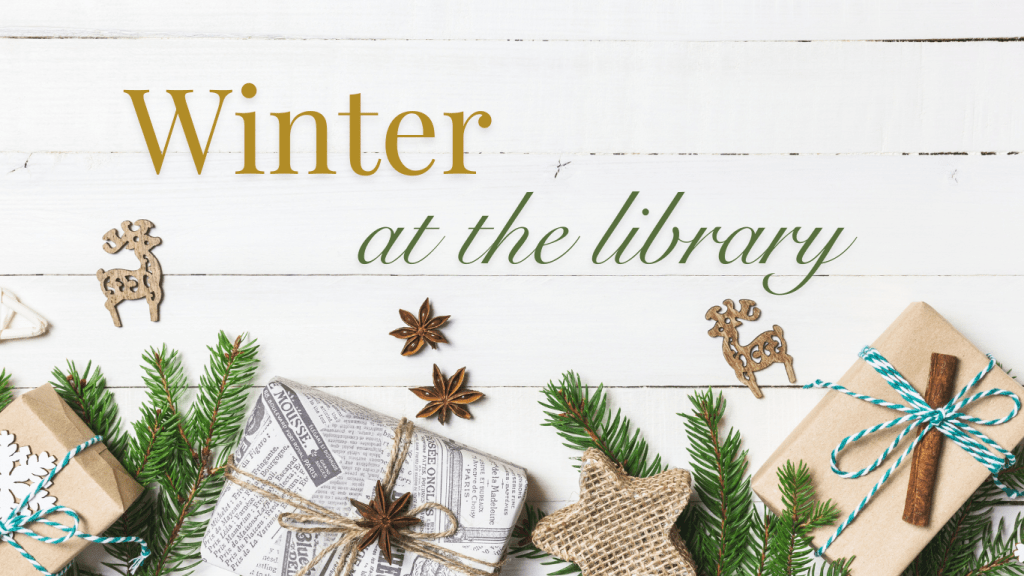 Winter at the Library