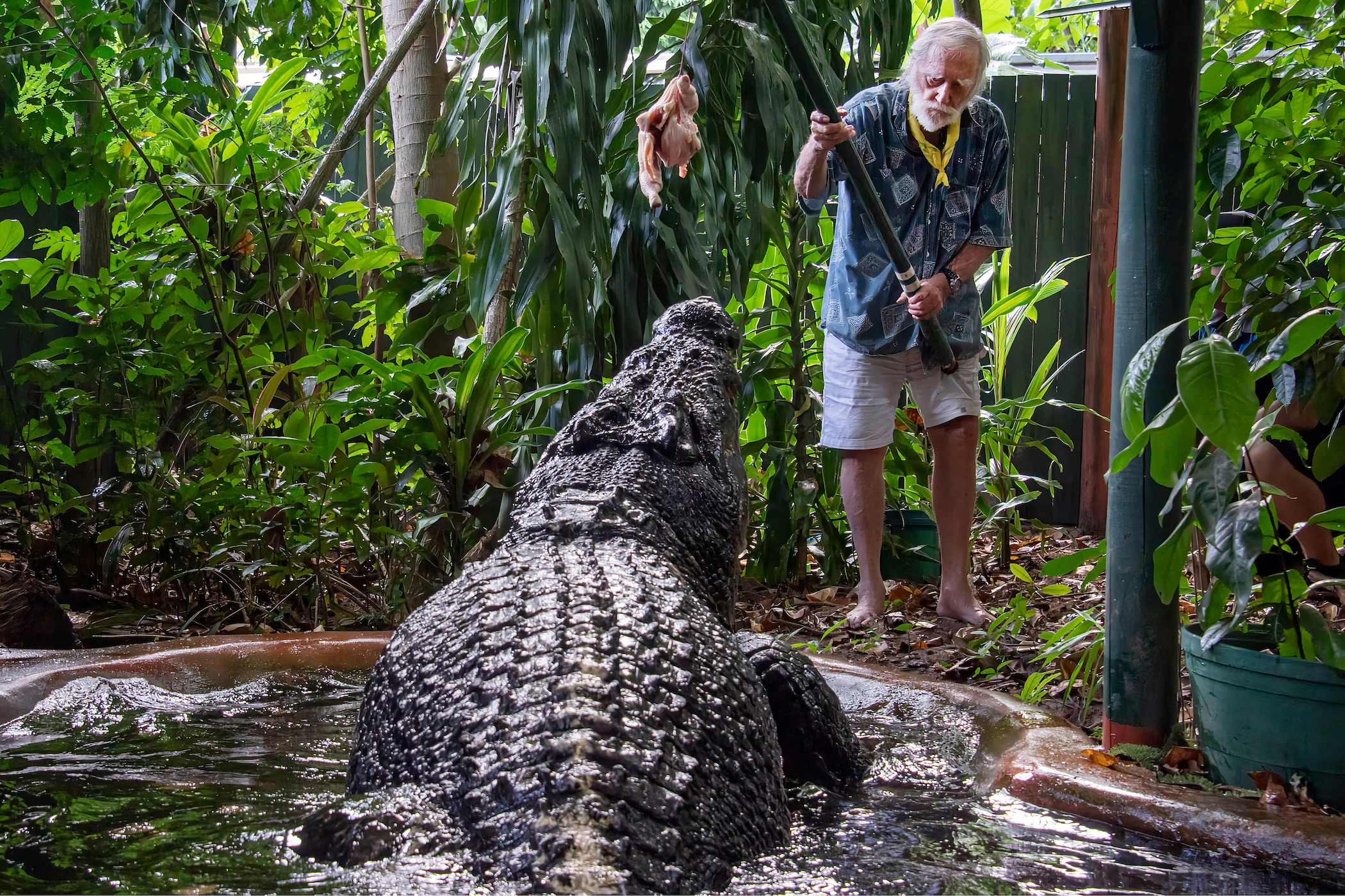 World’s largest captive crocodile Cassius dies in Australia