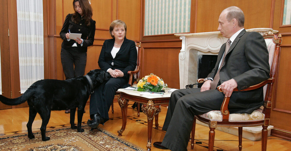 https://www.rt.com/russia/608373-putin-apologize-merkel-dog-scare/Putin apologizes to Merkel over ‘dog incident’