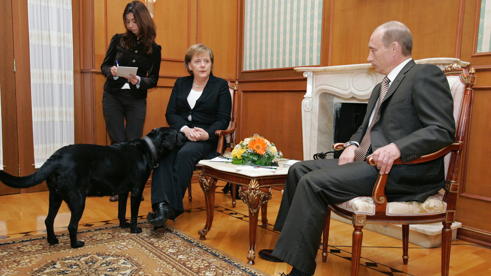 https://www.rt.com/russia/608373-putin-apologize-merkel-dog-scare/Putin apologizes to Merkel over ‘dog incident’