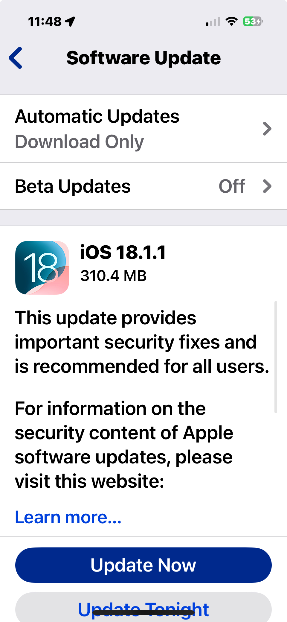 iOS 18.1.1 & iPadOS 18.1.1 Security Updates Released