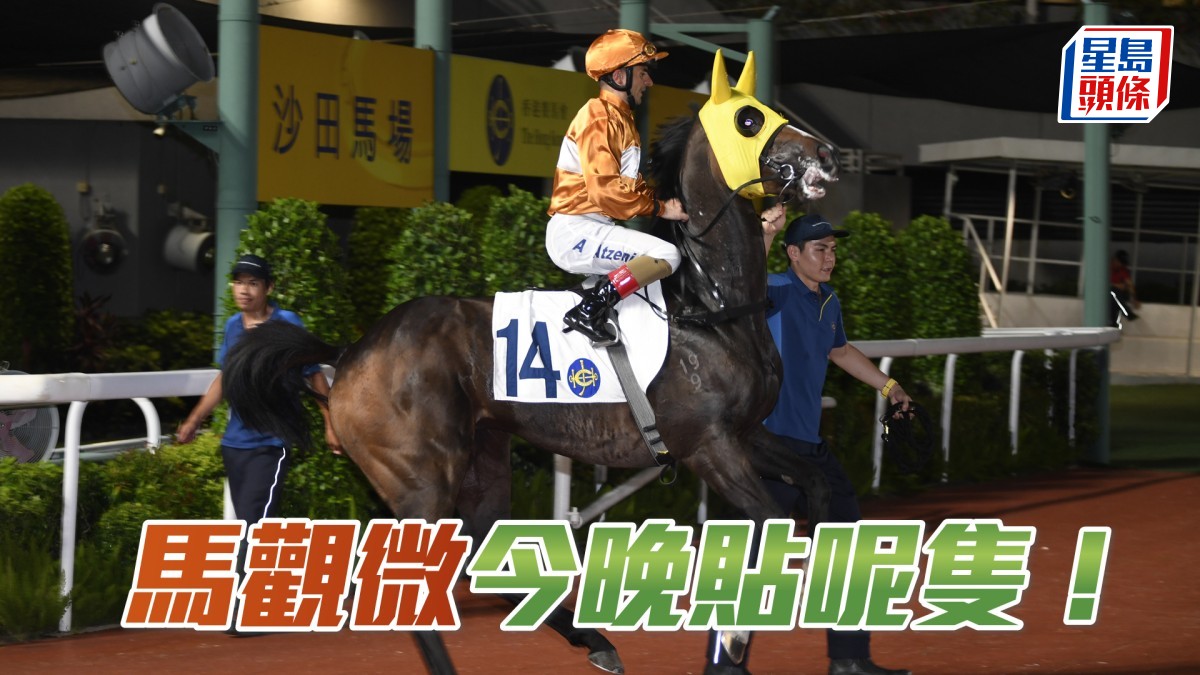 馬觀微全日心水│「神速馬車」拼個明白